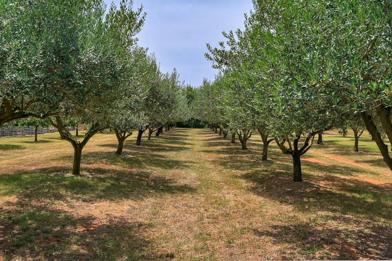 Vikendica Casa Oliveto Croatia